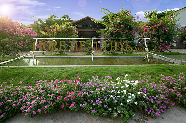 Вьетнам Fiore Healthy Resort 4*, Фантхьет